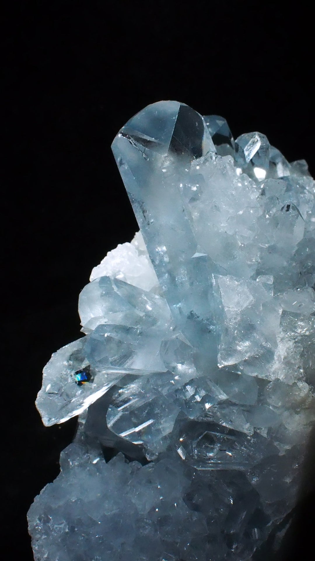 Celestite