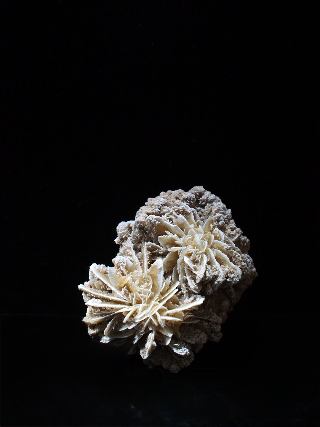 Gypsum