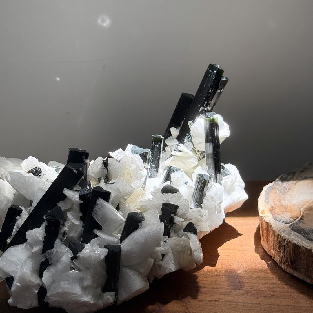 Black Tourmaline with Feldspar 黑碧璽與長石共生