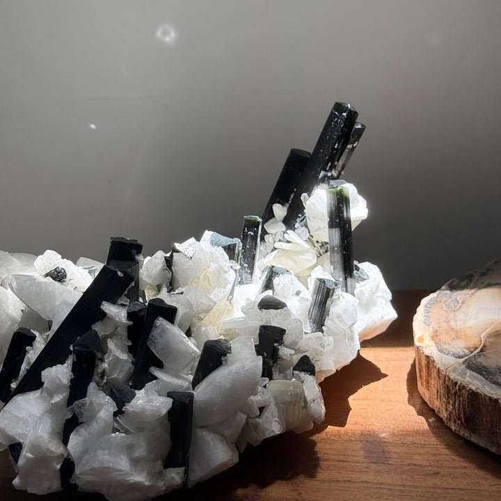Black Tourmaline with Feldspar 黑碧璽與長石共生