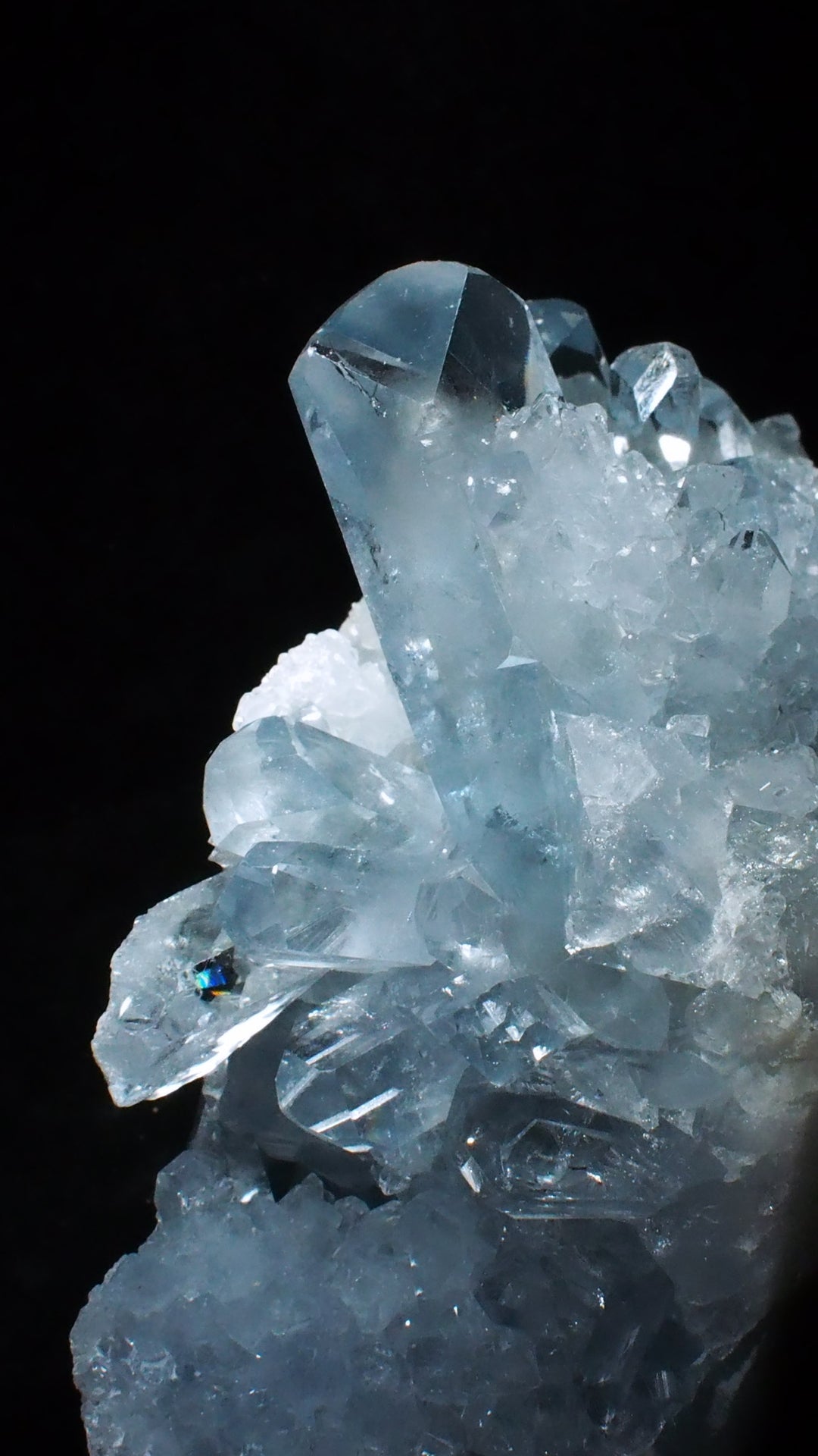 Celestite 天青石