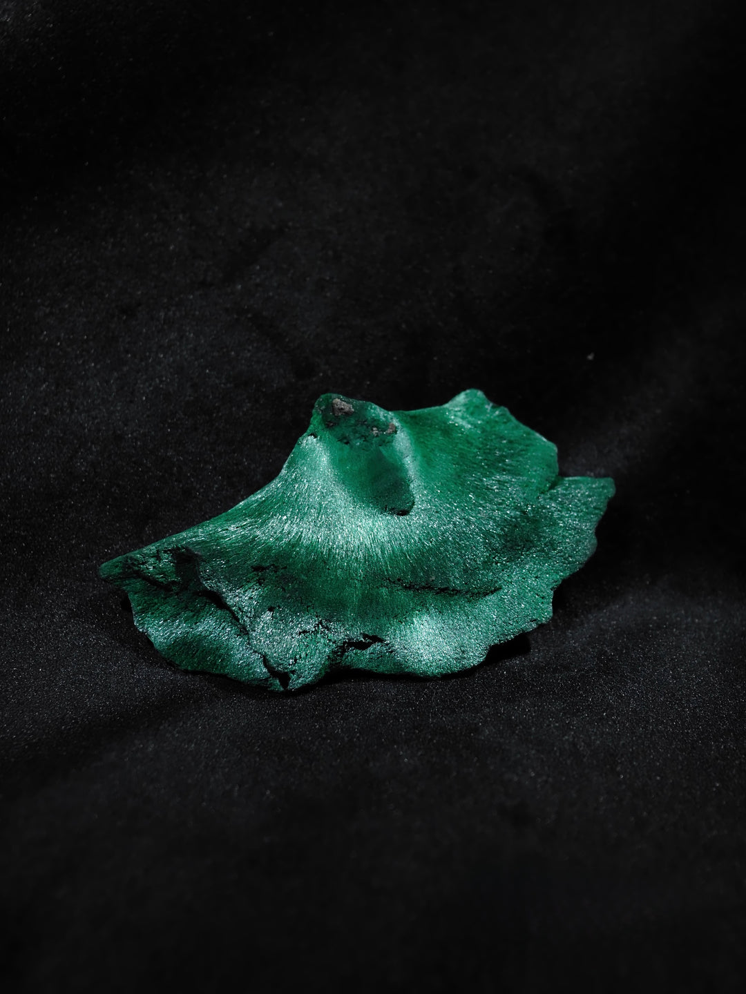 Love at First Sight 初見如一