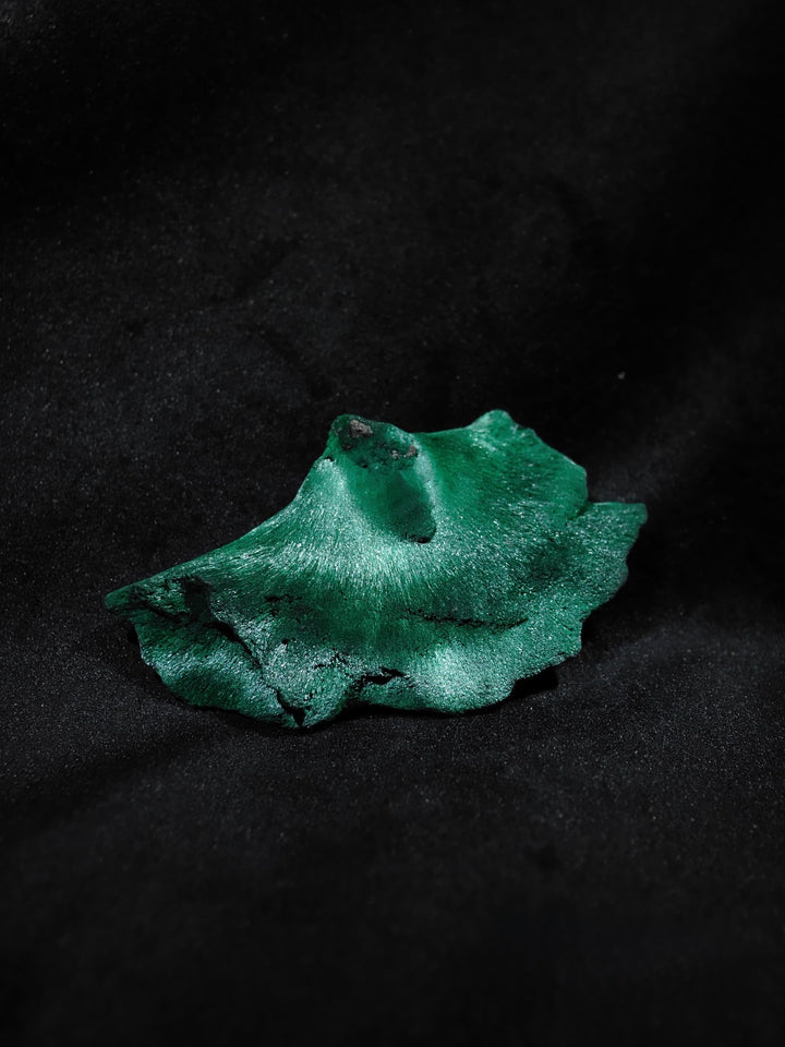 Love at First Sight 初見如一