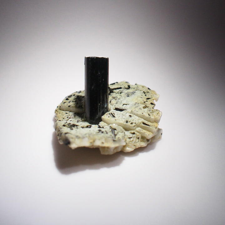 Black Tourmaline with Feldspar 黑碧璽與長石共生