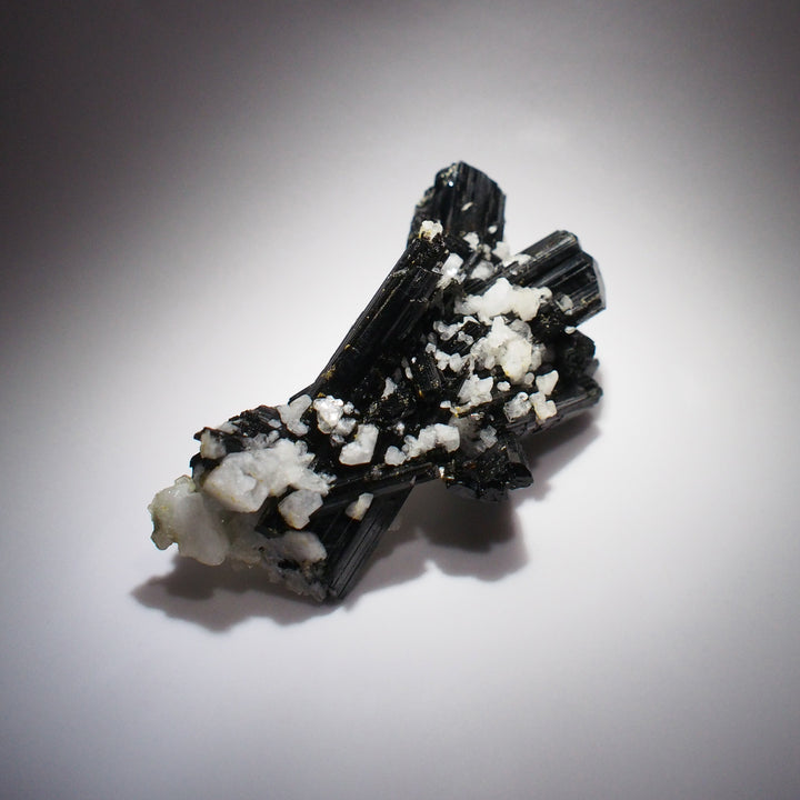 Black Tourmaline with Feldspar 黑碧璽與長石共生