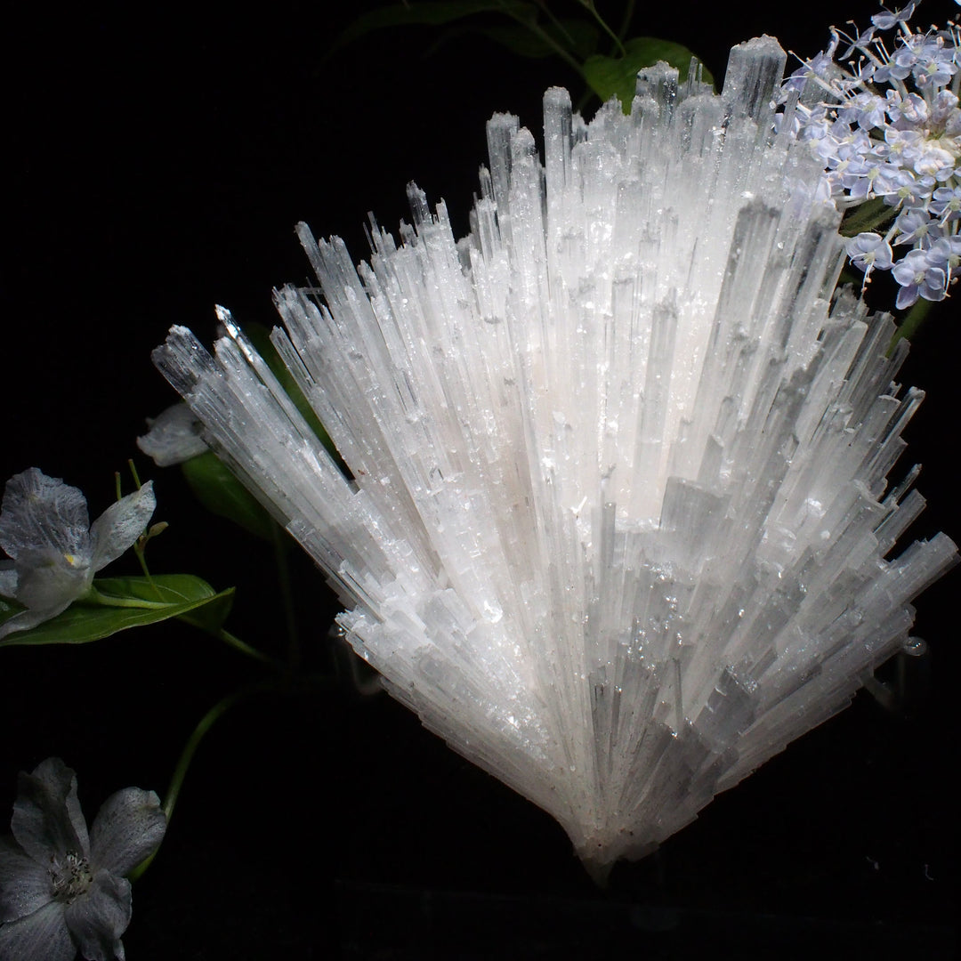 Scolecite 鈣沸石