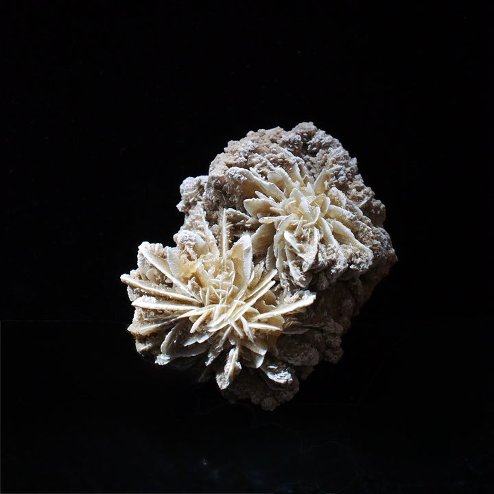 Gypsum 沙漠玫瑰