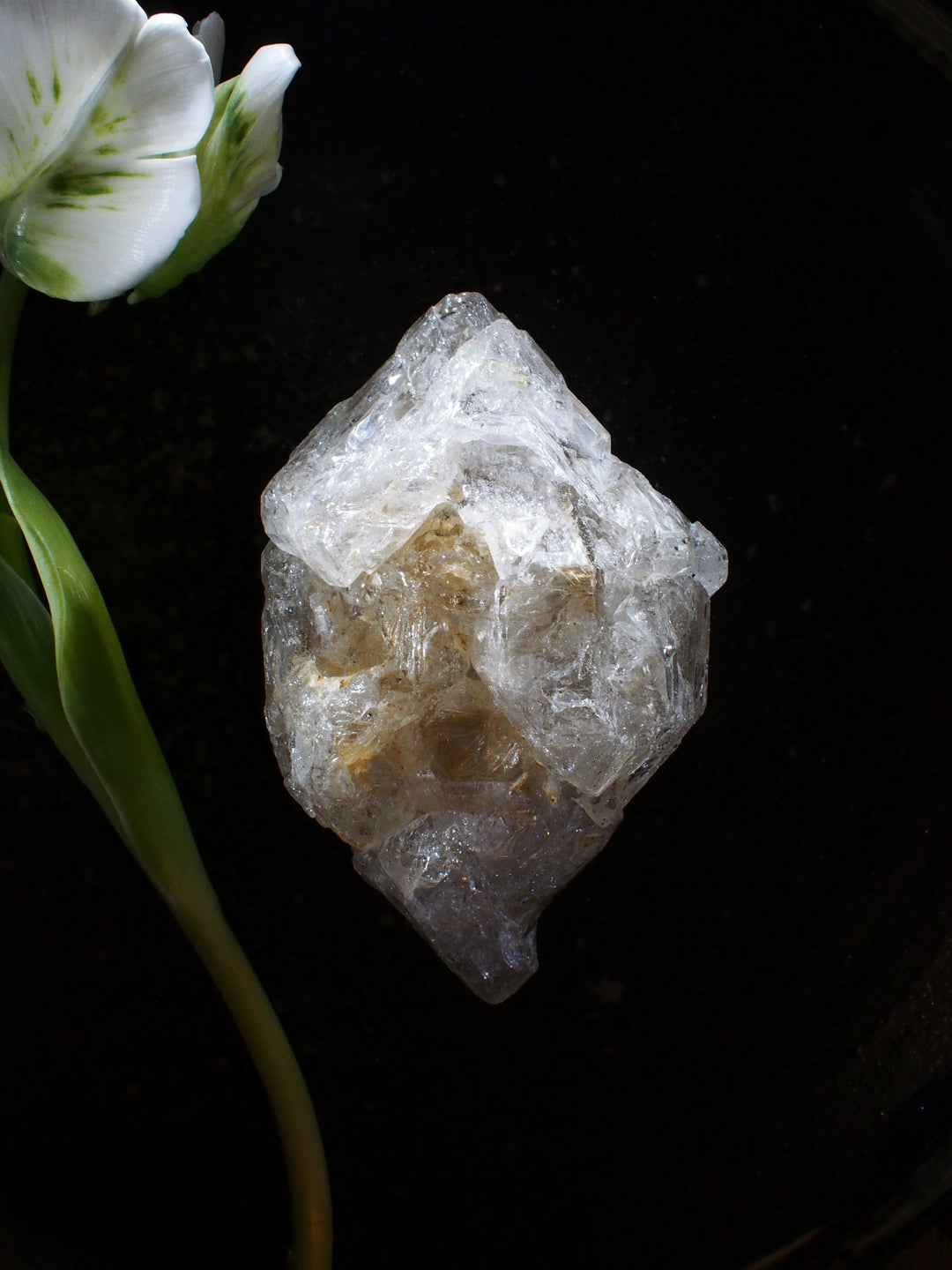 Skeletal Quartz 骸骨水晶