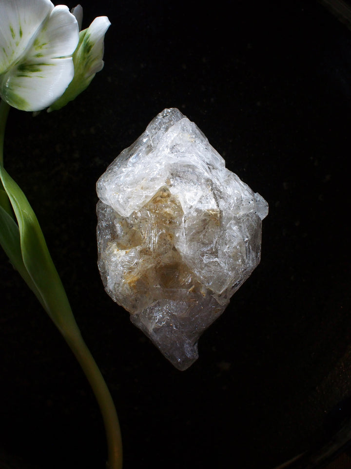 Skeletal Quartz 骸骨水晶