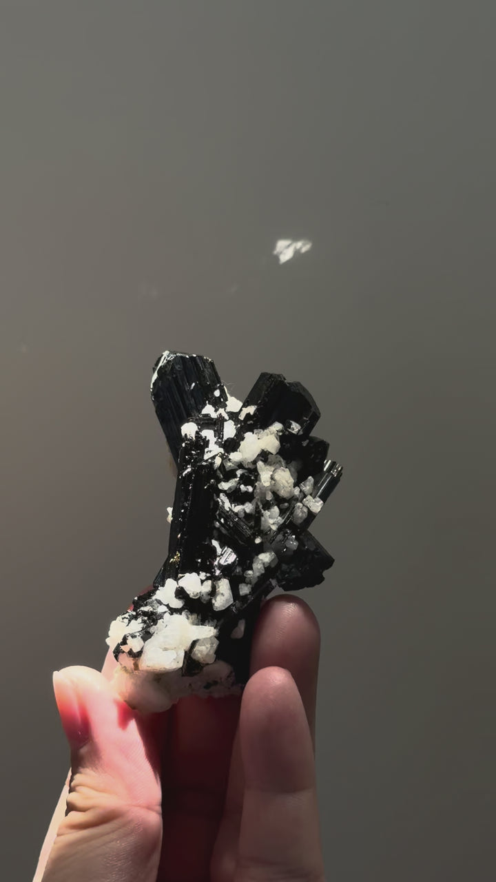 Black Tourmaline with Feldspar 黑碧璽與長石共生