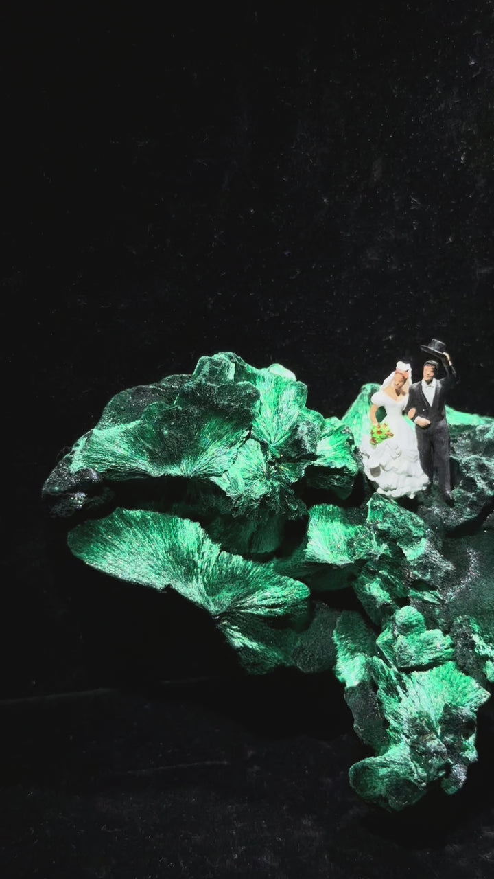Happy Marriage  幸福快樂