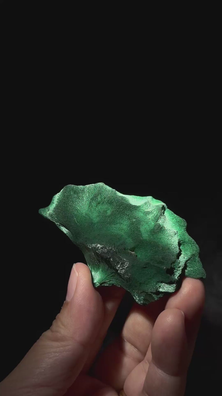 Love at First Sight 初見如一