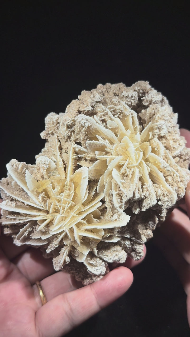 Gypsum 沙漠玫瑰