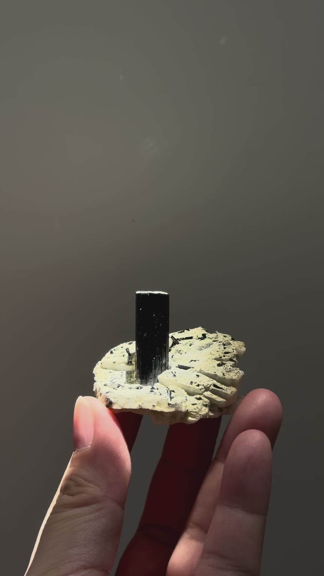 Black Tourmaline with Feldspar 黑碧璽與長石共生