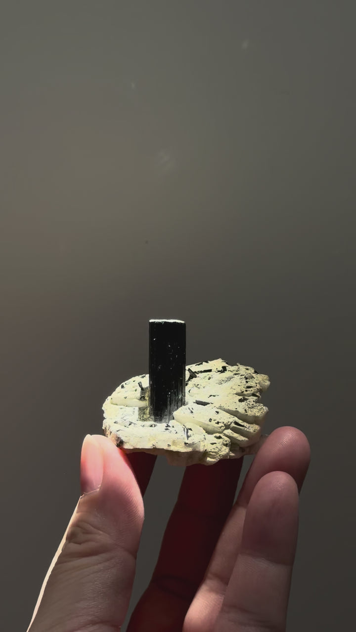 Black Tourmaline with Feldspar 黑碧璽與長石共生