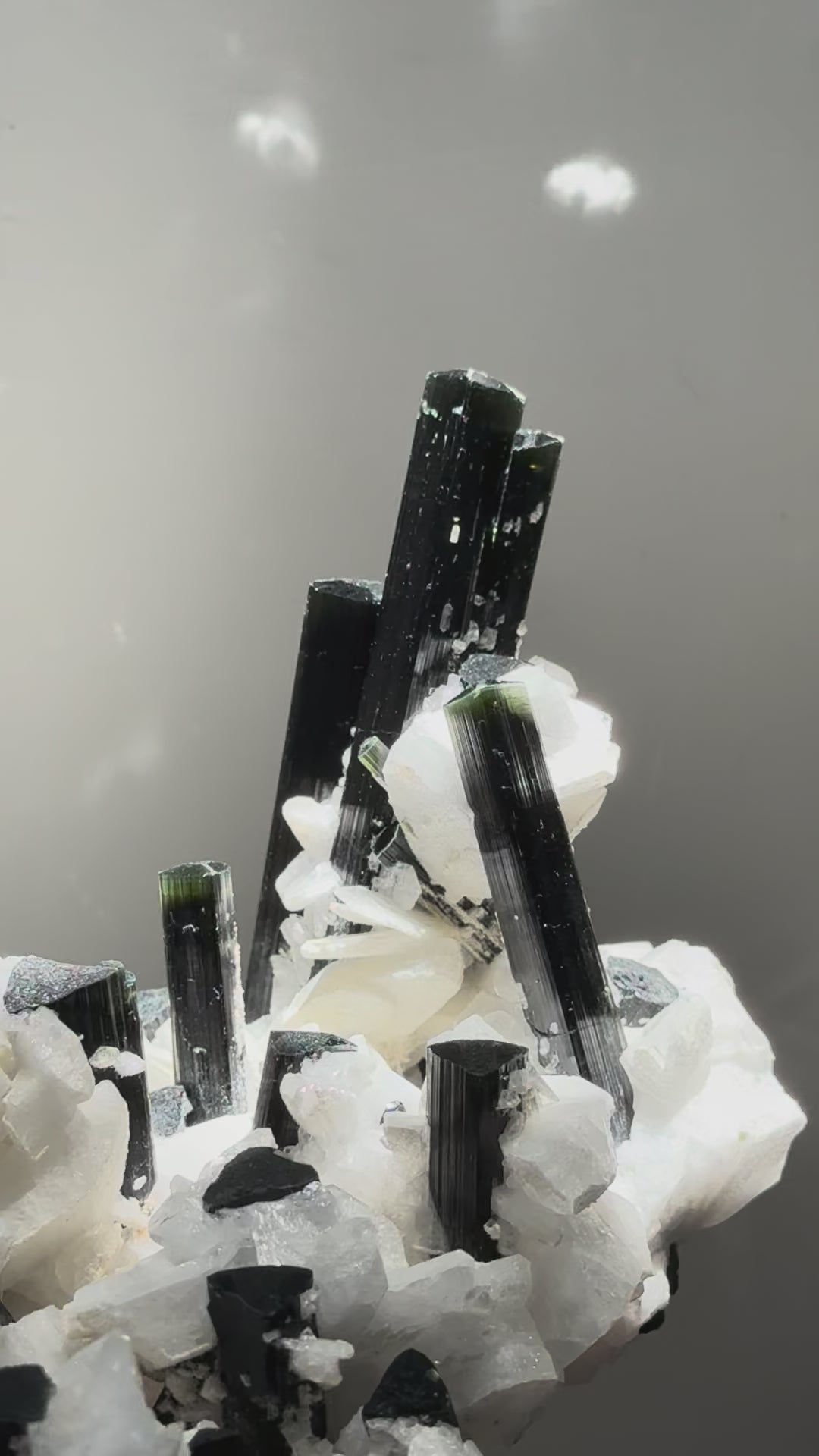 Black Tourmaline with Feldspar 黑碧璽與長石共生