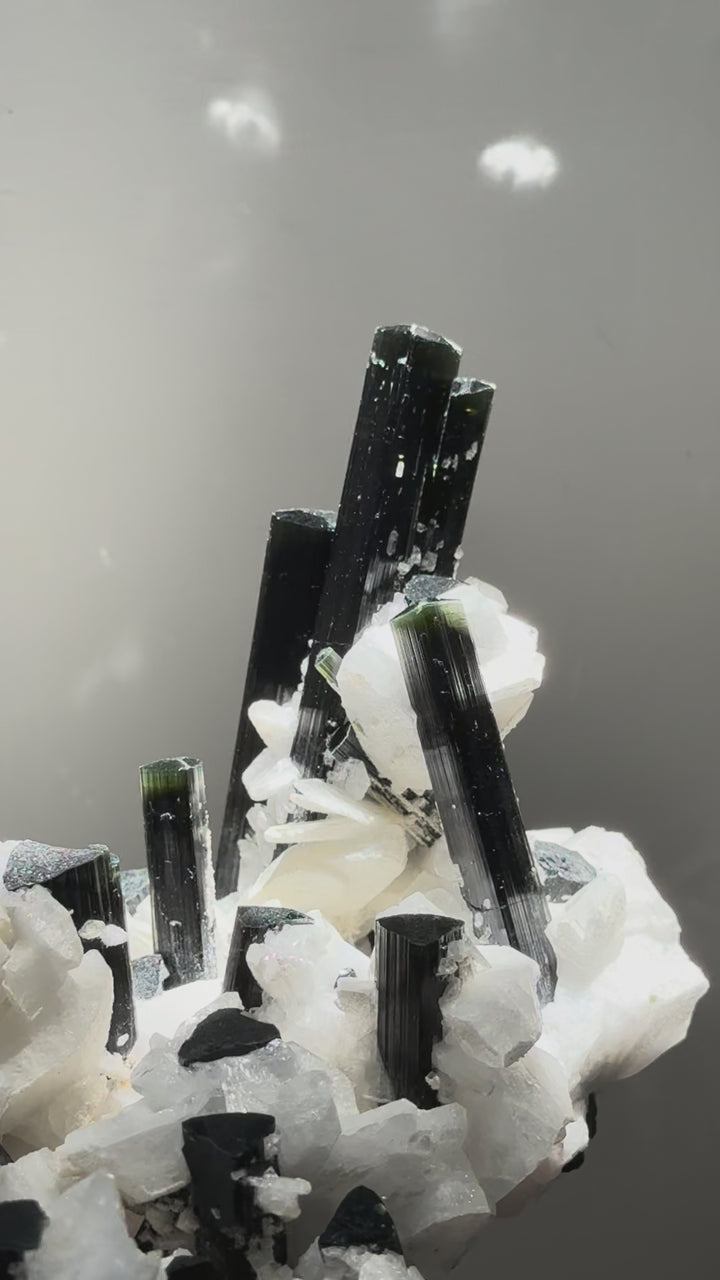 Black Tourmaline with Feldspar 黑碧璽與長石共生