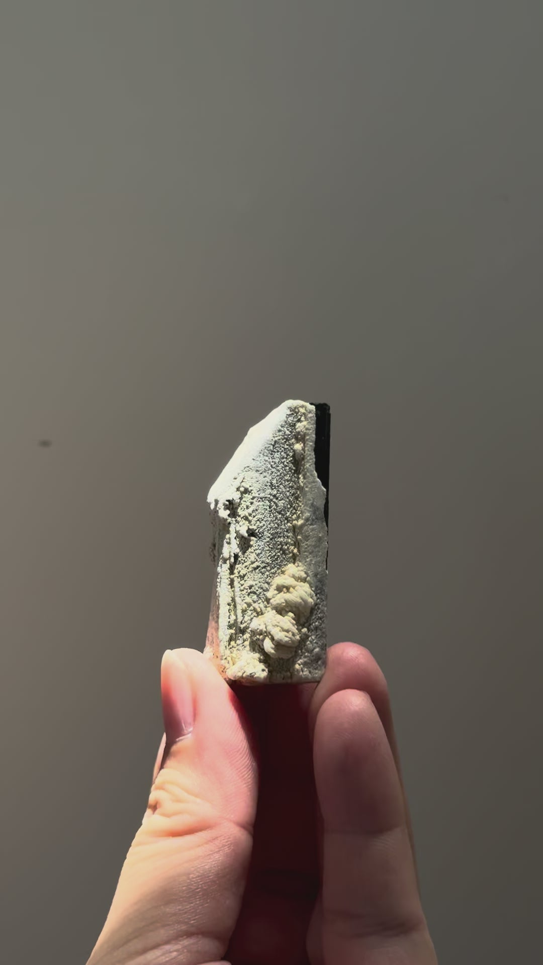 Black Tourmaline with Feldspar 黑碧璽與長石共生