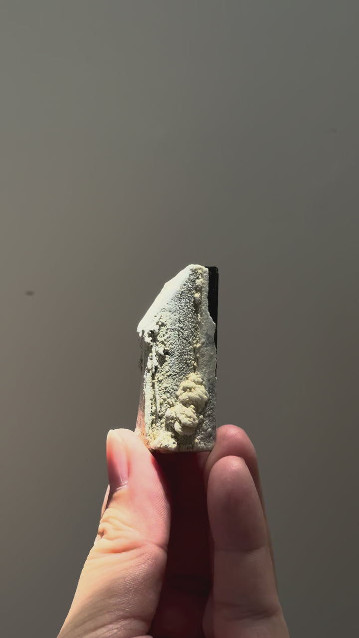 Black Tourmaline with Feldspar 黑碧璽與長石共生